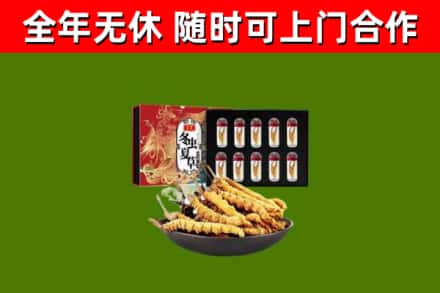 阳江回收冬虫夏草价格